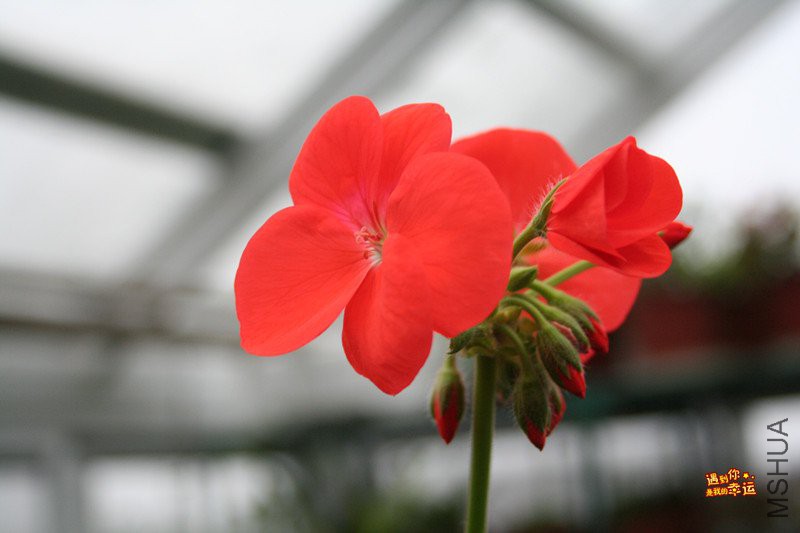 ��Ƭ 049_����.jpg