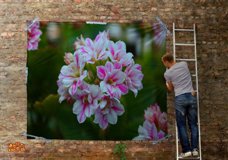 ��Ƭ 073_����.jpg