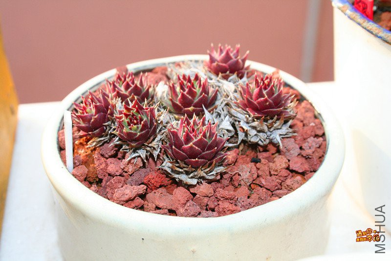 ��Ƭ 224_����.jpg