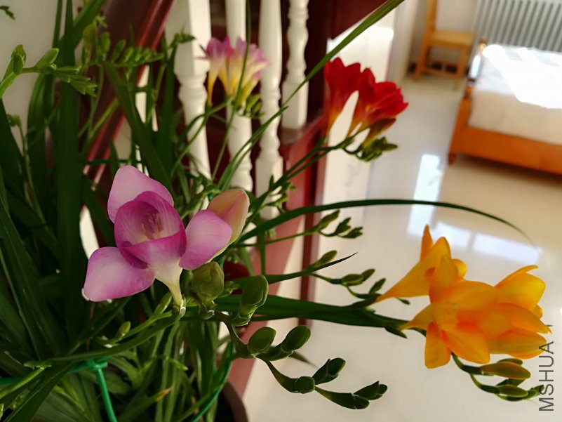 IMG_20190125_101156.jpg