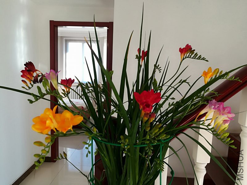 IMG_20190125_101257.jpg