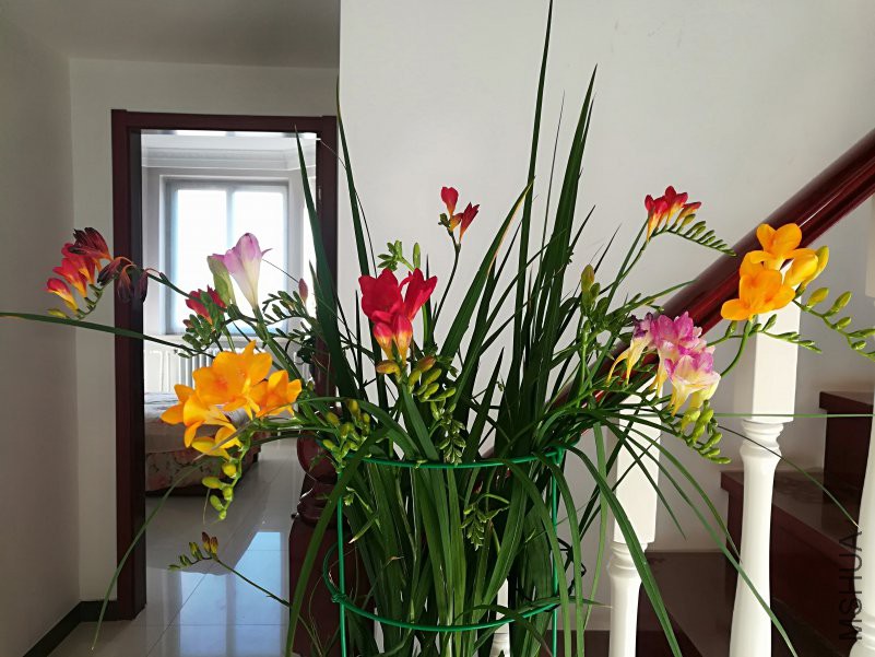 IMG_20190126_104317.jpg