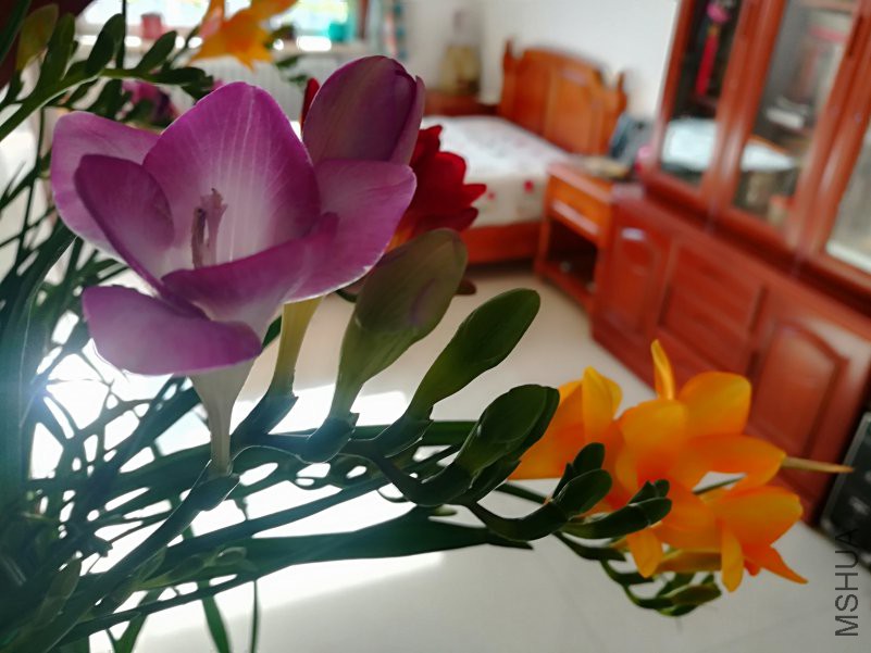 IMG_20190126_120236.jpg