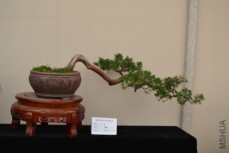 DSC_8870.jpg