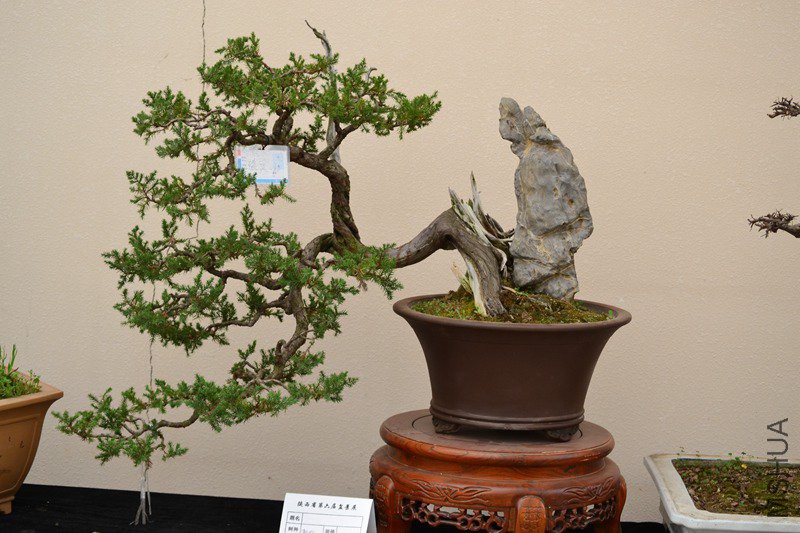 DSC_8886.jpg