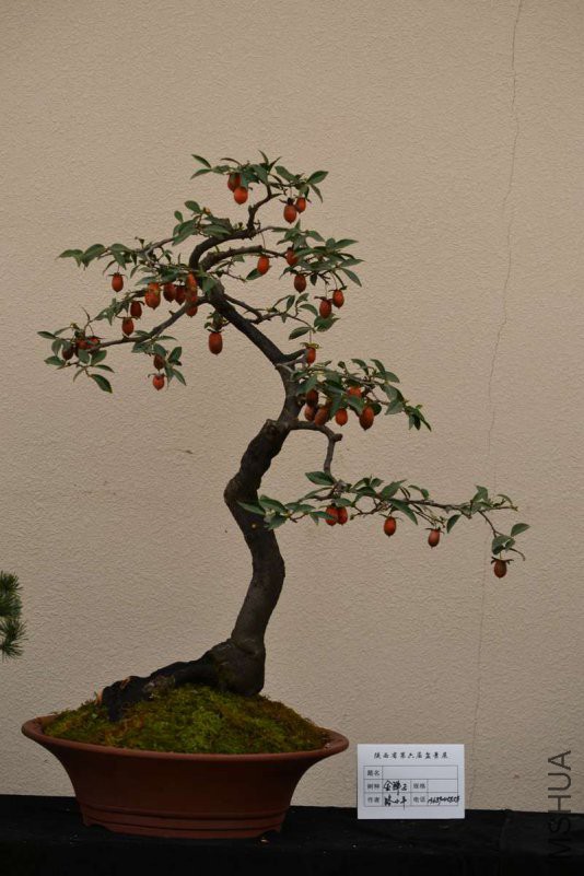 DSC_8898.jpg
