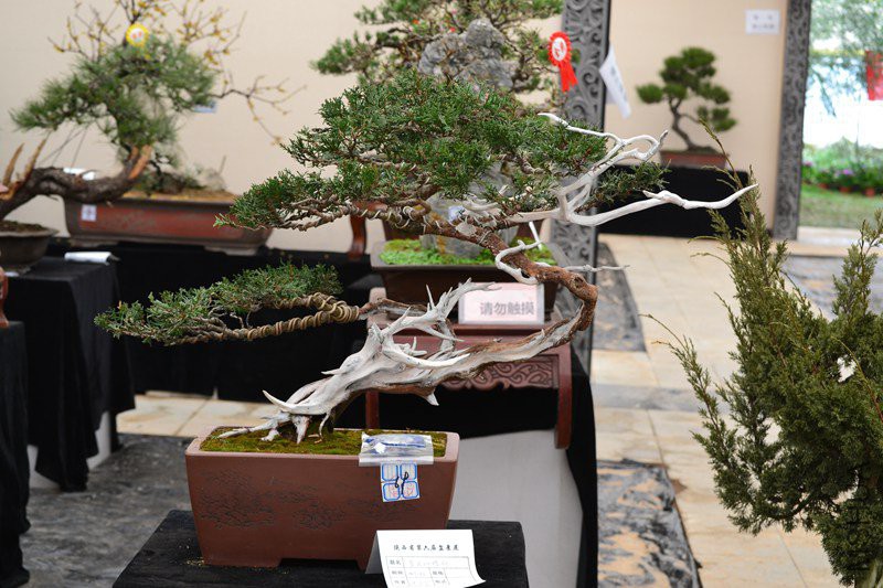 DSC_8910.jpg