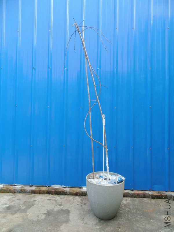 DSCI5070.JPG