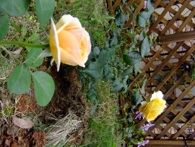 DSCF6207.JPG