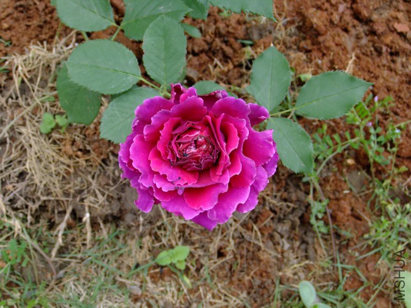 DSCF6214.JPG
