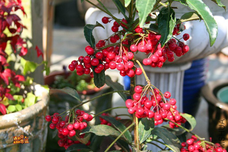 ��Ƭ 100_����.jpg