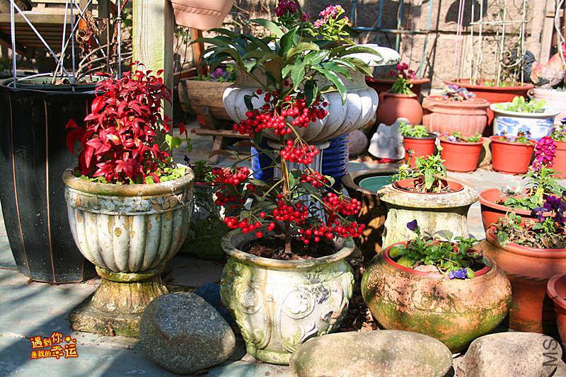 ��Ƭ 094_����.jpg