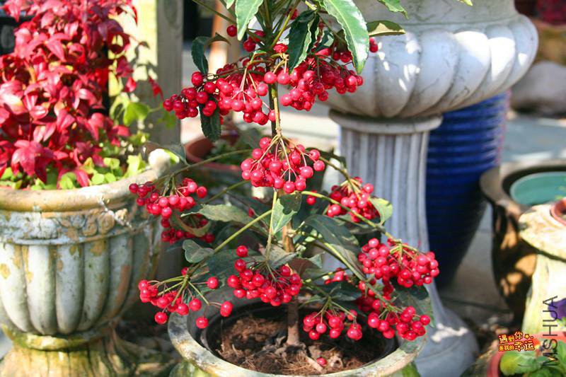 ��Ƭ 097_����.jpg