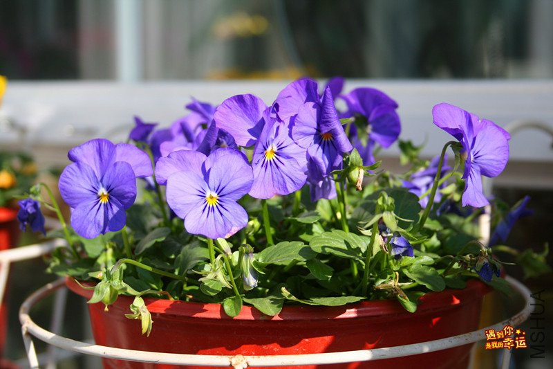 ��Ƭ 153_����.jpg