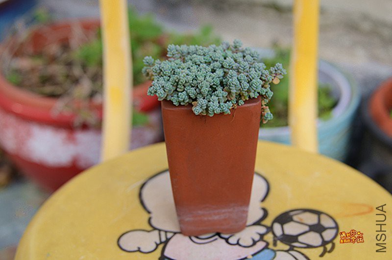 ��Ƭ 175_����.jpg