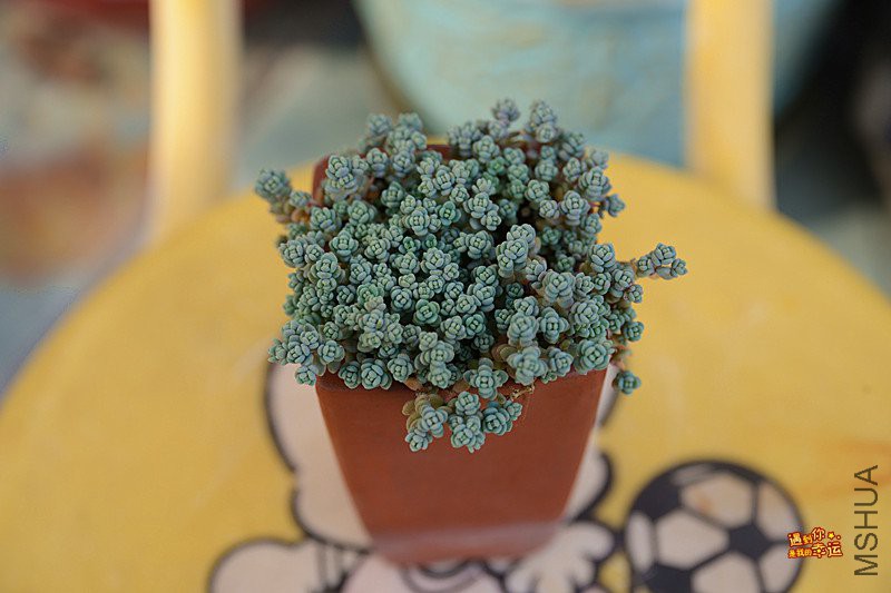 ��Ƭ 177_����.jpg