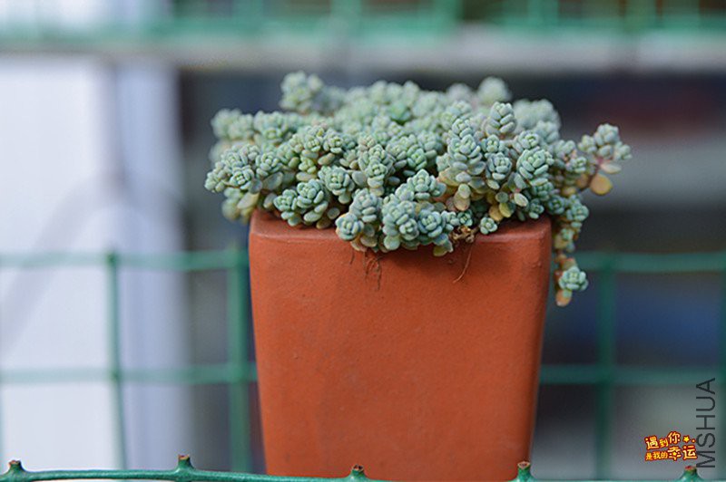 ��Ƭ 179_����.jpg