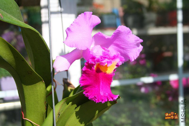 ��Ƭ 032_����.jpg