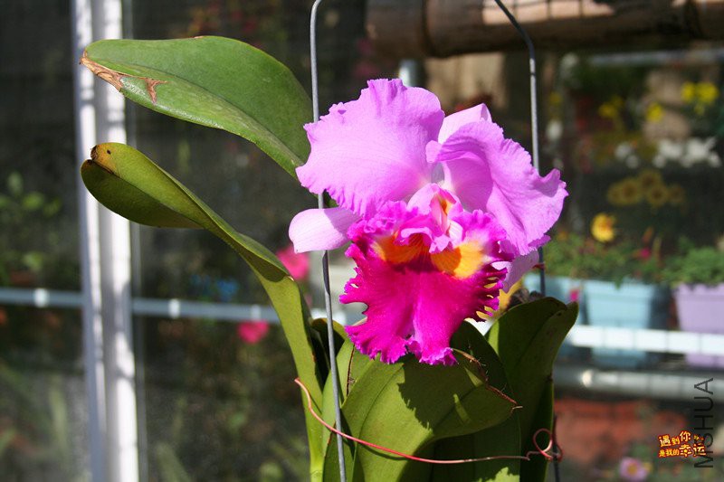 ��Ƭ 030_����.jpg