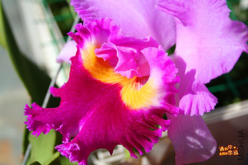 ��Ƭ 033_����.jpg