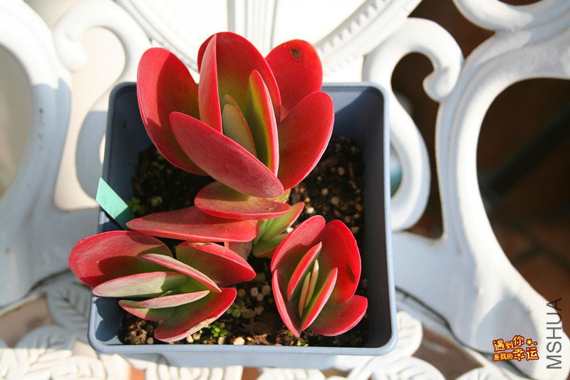 ��Ƭ 054_����.jpg