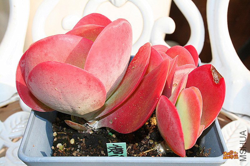 ��Ƭ 055_����.jpg