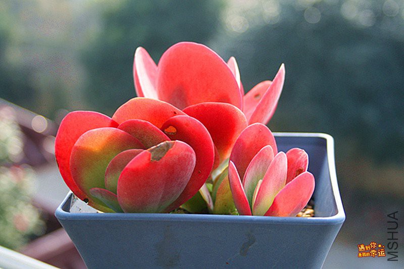 ��Ƭ 058_����.jpg