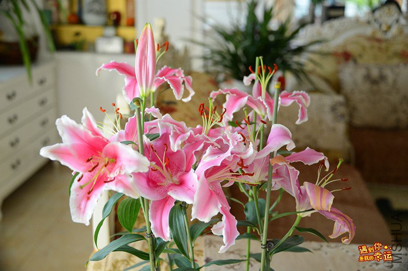 ��Ƭ 265_����.jpg