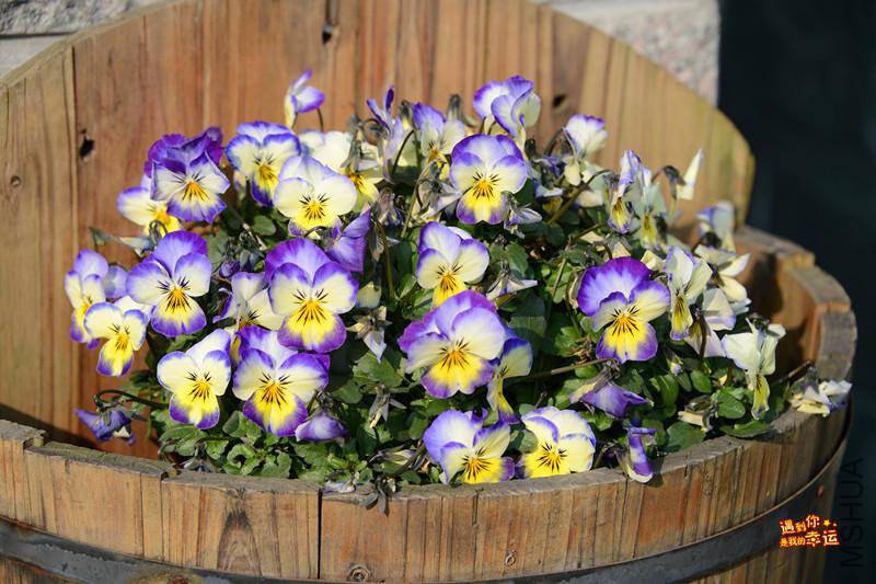 ��Ƭ 228_����.jpg