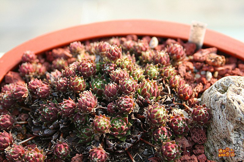 ��Ƭ 255_����.jpg