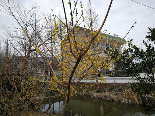 IMG_20190202_152844.jpg