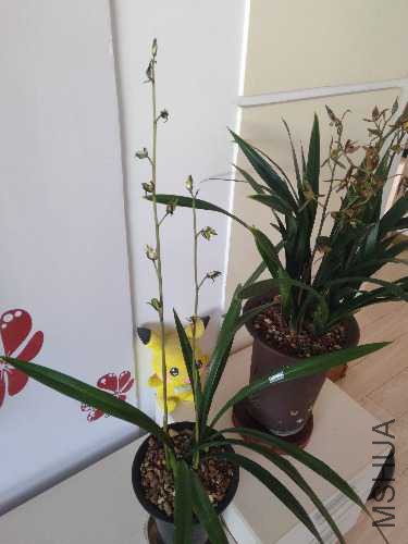 IMG20190201103841.jpg