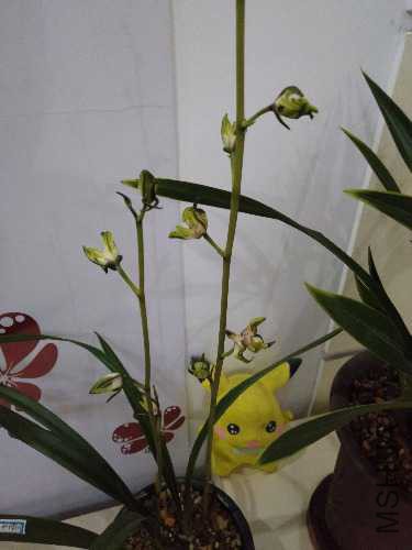 IMG20190202174259.jpg