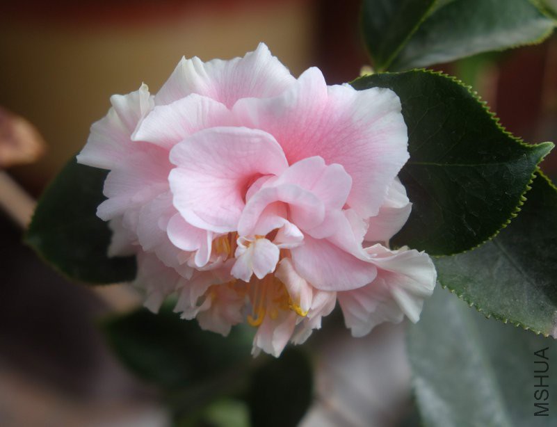 DSCF4857.JPG
