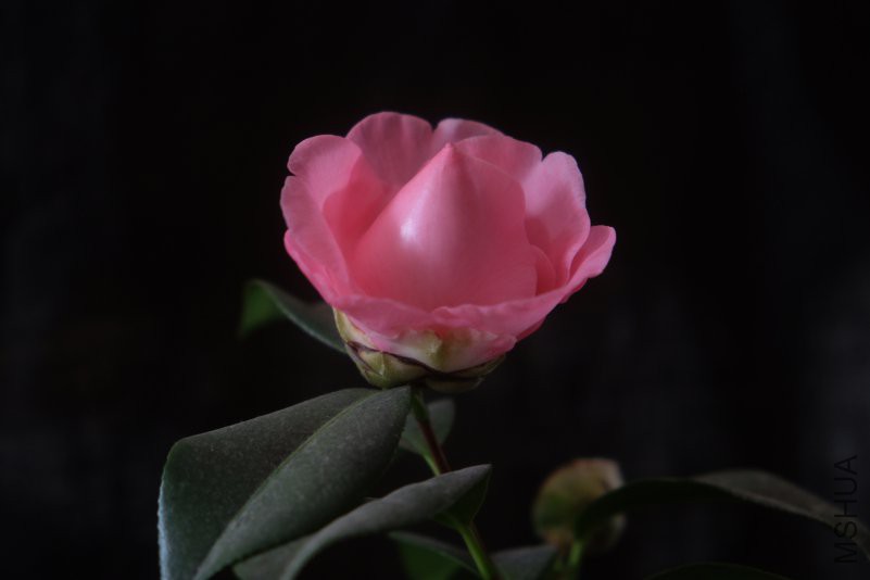DSCF4977.JPG