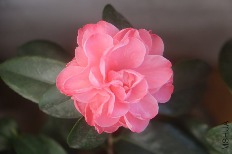 DSCF5157.JPG