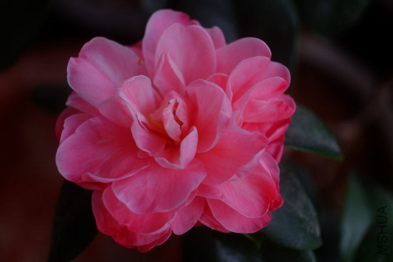 DSCF5338.JPG