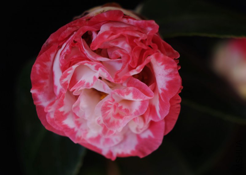 DSCF5697.JPG