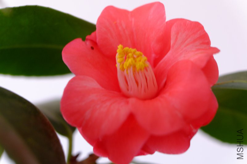 DSCF7019.JPG
