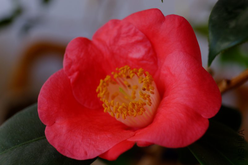 DSCF8790.JPG