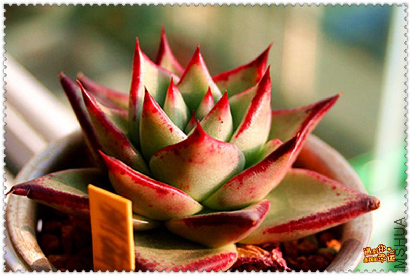 ��Ƭ 225_����_����.jpg