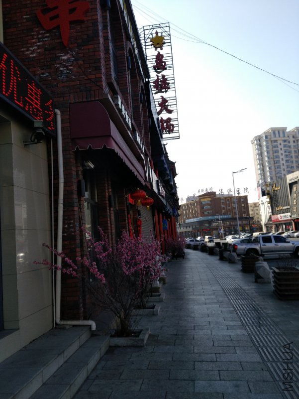 IMG_20190208_101113.jpg