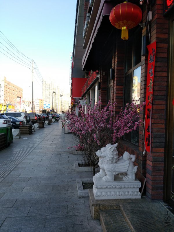 IMG_20190208_101017.jpg
