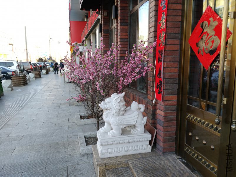 IMG_20190208_101034.jpg