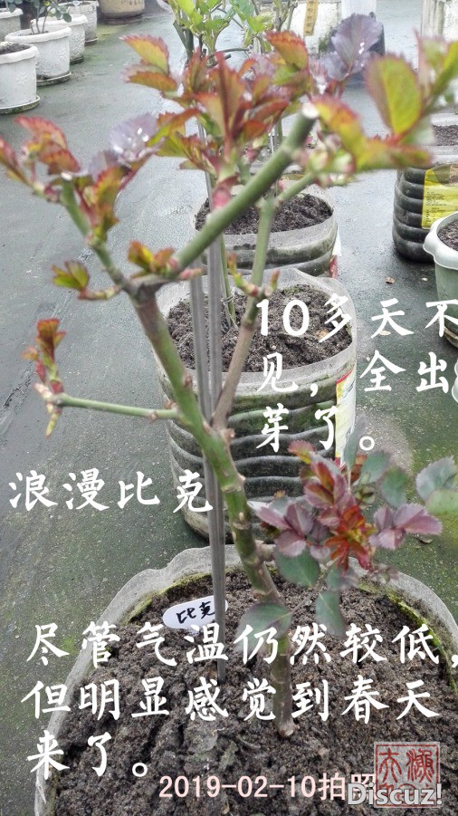 0-01.jpg