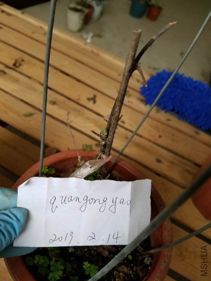 ΢��ͼƬ_20190214112420.jpg