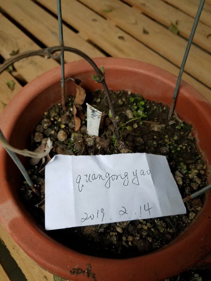 ΢��ͼƬ_2019021411242011.jpg