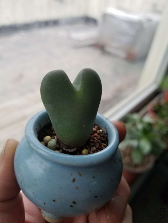 ˮ��.jpg