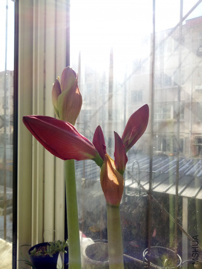 IMG20190217102917.jpg