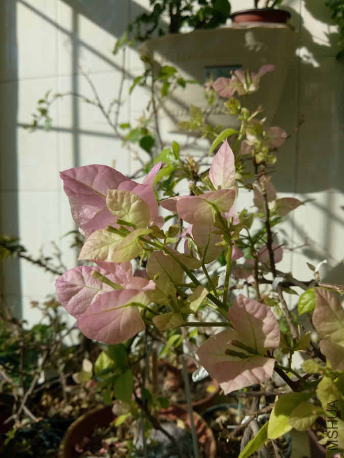 IMG20190217103055.jpg